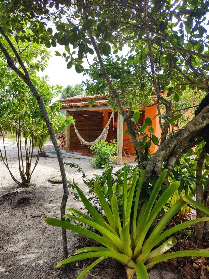 Pousada Quintal Dos Sonhos Xando Карайва Экстерьер фото