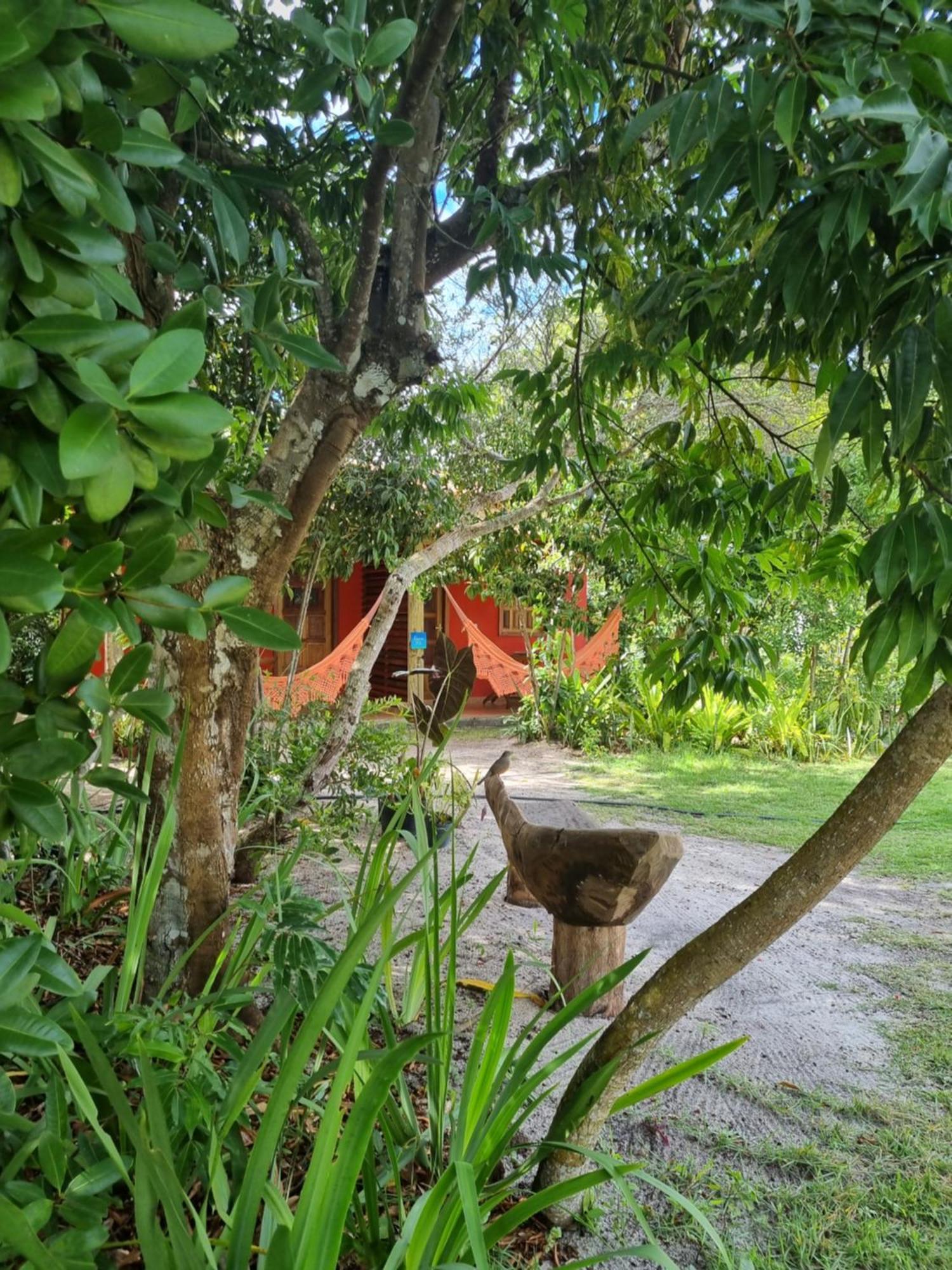 Pousada Quintal Dos Sonhos Xando Карайва Экстерьер фото